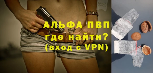 амф Горняк