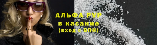 амф Горняк