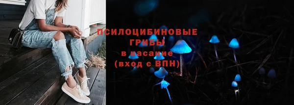 амф Горняк
