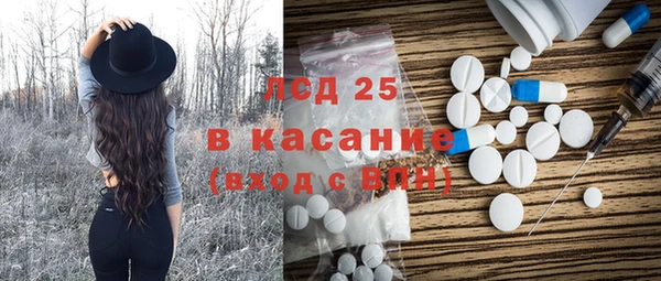 амф Горняк