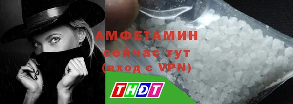 амф Горняк