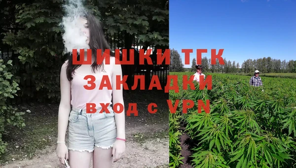 амф Горняк