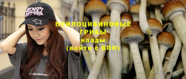 амф Горняк